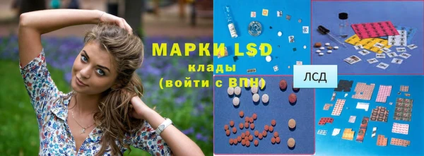сатива Покровск